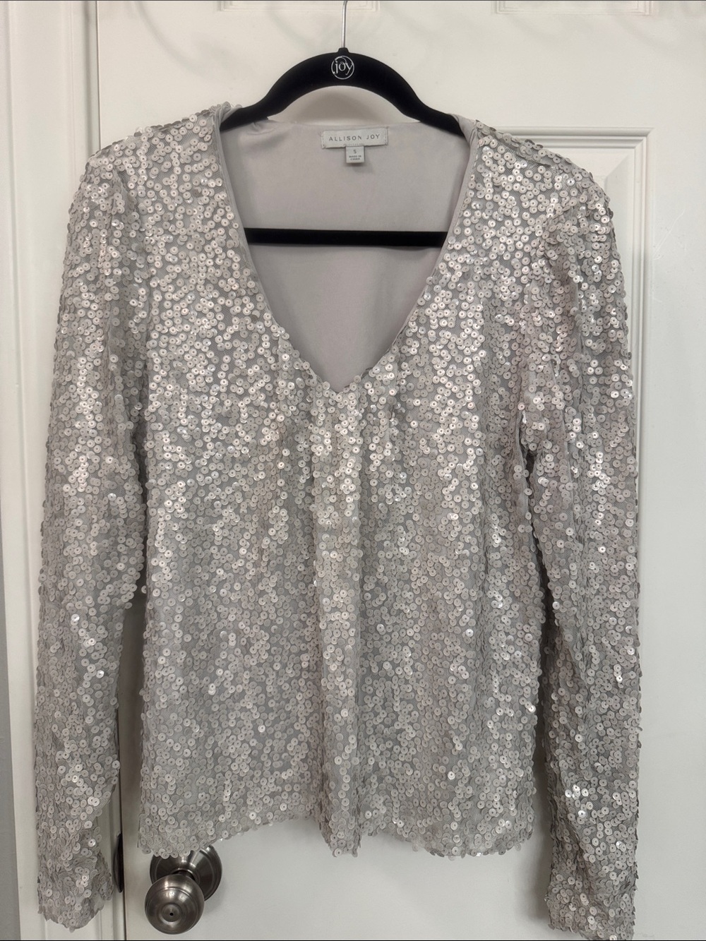 Allison Joy Silver Sequin Long Sleeve V-Neck Top